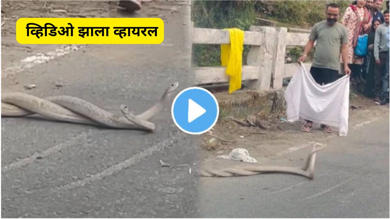 Snake dance viral